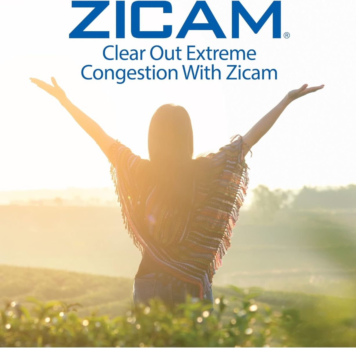 Zicam Extreme Congestion Relief NoDrip Nasal Spray 0.5oz 1Ct