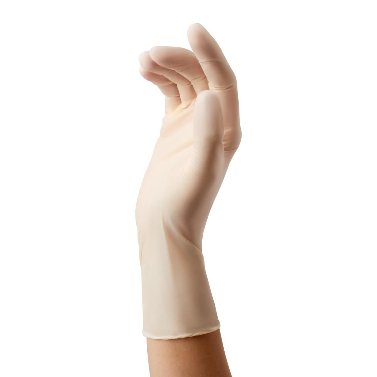 FitGuard Stretch Vinyl Exam Gloves Shop All