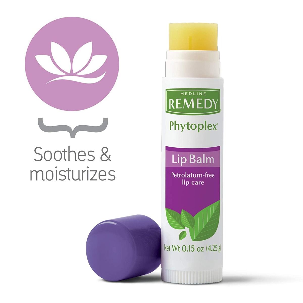 Remedy Phytoplex Lip Balm 1Ct