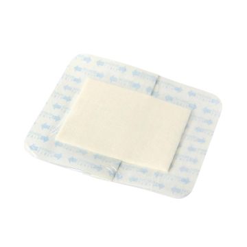 Suresite 123+ Pad Transparent Dressing 3.5in x 10in 1Ct