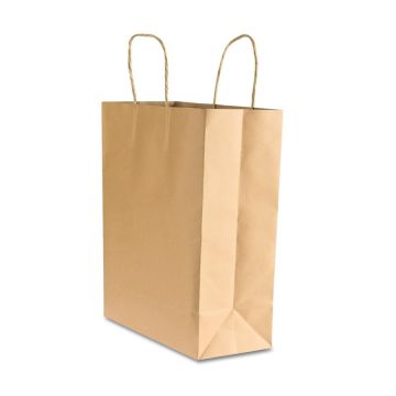 Brown Kraft Paper Bag 10x13in 1Ct