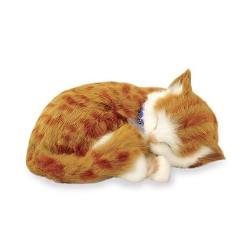 Perfect Petzzz Orange Tabby Cat