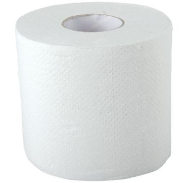 Standard Toilet Paper, 2 Ply, 4in x 4in, One Roll