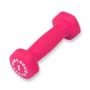 Body-Solid Tools Neoprene Dumbbell Pink 1lb 1Ct BSTND1 by Body-Solid Inc.
