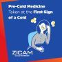 Zicam Cold Remedy Zinc Rapidmelts Citrus Flavor 25Ct C-H216300246H by Church & Dwight Inc