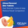 Zicam Cold Remedy Zinc Rapidmelts Citrus Flavor 25Ct C-H216300246H by Church & Dwight Inc