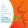 Zicam Cold Remedy Medicated Nasal Swabs Zinc-Free 20Ct C-H216301205H by Church & Dwight Inc