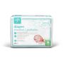 Medline Disposable Baby Diapers Size N Under 10lb 25Ct MBD200NZ by Medline