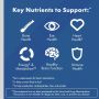 One A Day Men's 50+ Complete Multivitamin Tablet 65Ct DTF718511H by Bayer Healthcare