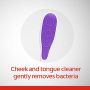 Colgate 360 Toothbrush Medium 4Ct EDS168743H by Colgate-Palmolive