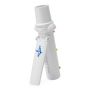 Medline Portable Peak Flow Meter 1Ct HCSPF100H by Medline