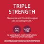 Triple Strength Glucosamine 750mg Chondroitin 600mg, Tablet 100Ct OTC279717 by 21St Century Healthcare, Inc.