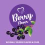 21st Century VitaJoy Adult Multivitamin Gummies Elderberry 50mg/45mg 60Ct OTC280171 by 21St Century Healthcare, Inc.