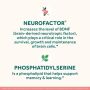 NEURIVA Original Brain Health Supplement 30Ct RBH865995477H by NEURIVA