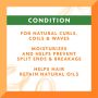 Cantu Shea Butter Hydrating Cream Conditioner 3oz 1Ct TWU74202H by Pdc Brands