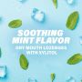 ACT Dry Mouth Lozenges Soothing Mint 36Ct WIH167099862H by Chattem Inc